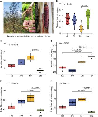 Pecan secondary metabolites influenced the population of Zeuzera coffeae by affecting the structure and function of the larval gut microbiota